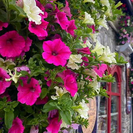 Hébergement de vacances Foleys Ardmullen *